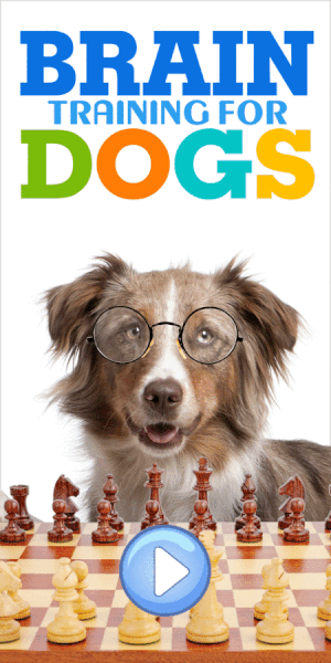 brain-dog-training-review